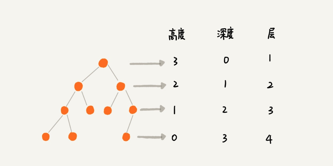 树的高度、深度和层